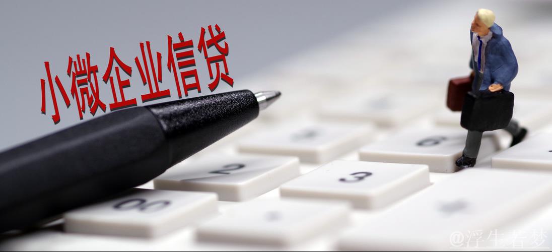 加大民营小微企业首贷续贷信用贷支持